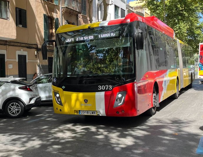 Autobús del TIB en la calle.