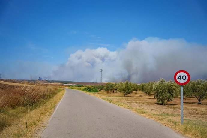 El fuego de Niebla (Huelva) recorre ya 8.000 hectáreas y mantiene a más de 400 personas desalojadas. 