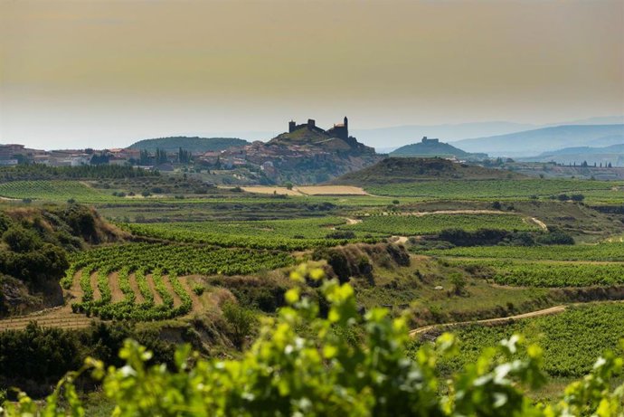 Proyecto La Carbonera en La Rioja
