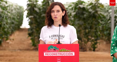 Vídeos