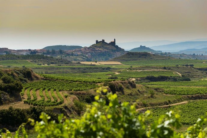 Proyecto La Carbonera en La Rioja