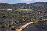 Foto: Los ingenieros agrónomos ofrecen su colaboración para evaluar los daños por los incendios y acelerar la recuperación