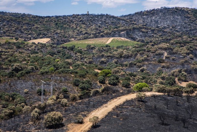Vista tras el incendio, a 4 de agosto de 2026, en Villa del Prado, Madrid (España). La presidenta de la Comunidad de Madrid, Isabel Díaz Ayuso, ha anunciado este martes que el futbolista Leo Messi ha donado 80.000 euros para la reconstrucción de la Sierra