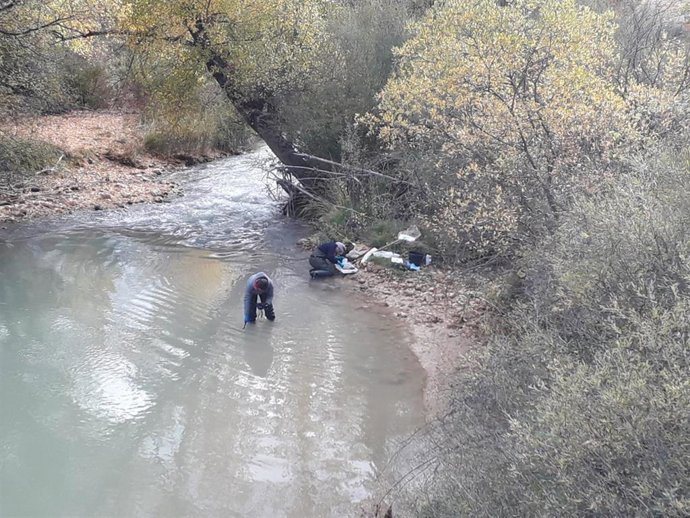 Archivo - Muestreos el el río Guadalope
