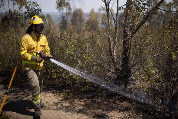 Efectivos del Infoca combaten un incendio forestal. Imagen de archivo. 