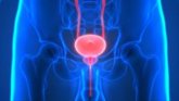 Foto: Un nuevo radiofármaco reduce un 28% el riesgo de progresión o muerte en pacientes con cáncer de próstata metastásico