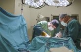 Foto: Un estudio desarrolla una estrategia con anticuerpos para reducir la toxicidad de los trasplantes de células madre