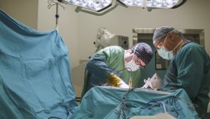 Investigación