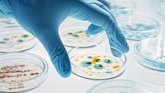 Foto: Los anticuerpos monoclonales abren una nueva vía contra las bacterias resistentes cuando los antibióticos fallan