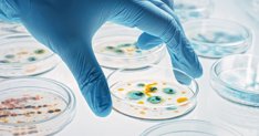 Investigación