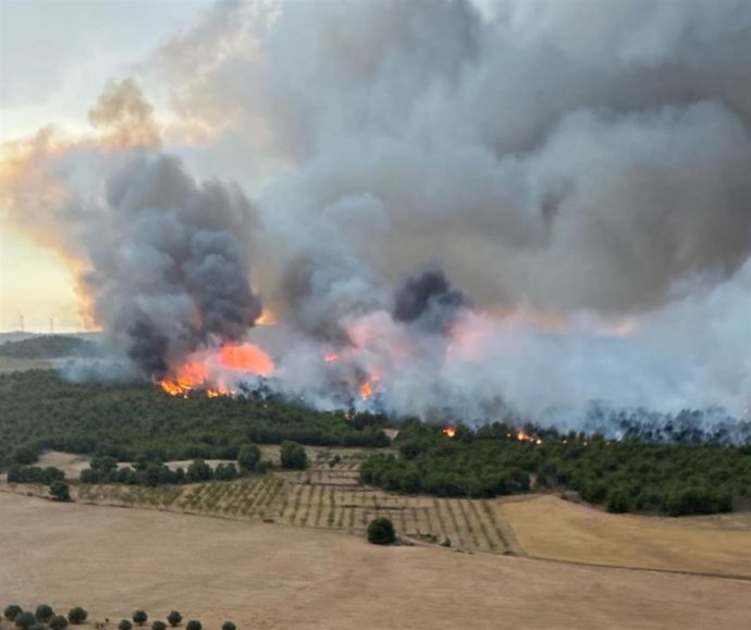 Incendio en Cerro Maestre (Jumilla)