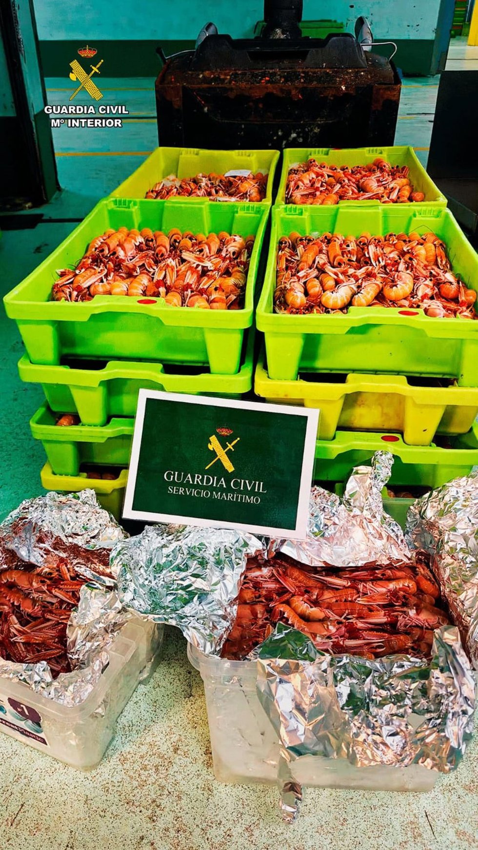 Cigalas intervenidas en el un vehículo que partió de la lonja de Cariño (A Coruña).