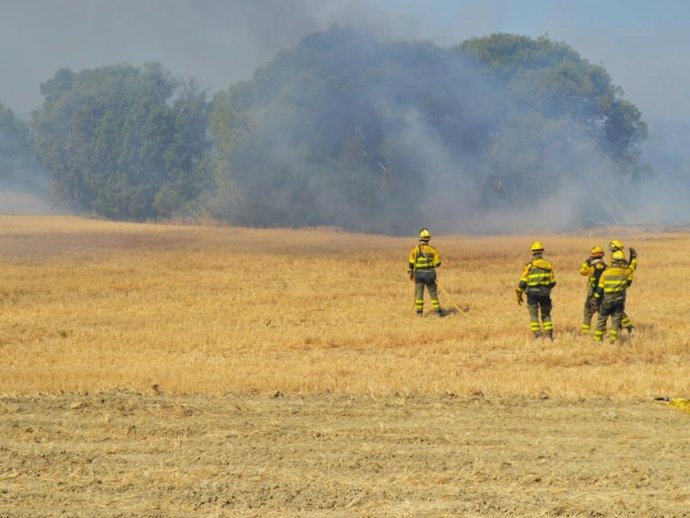 Imagen de archivo de los bomberos forestales de Infoar.