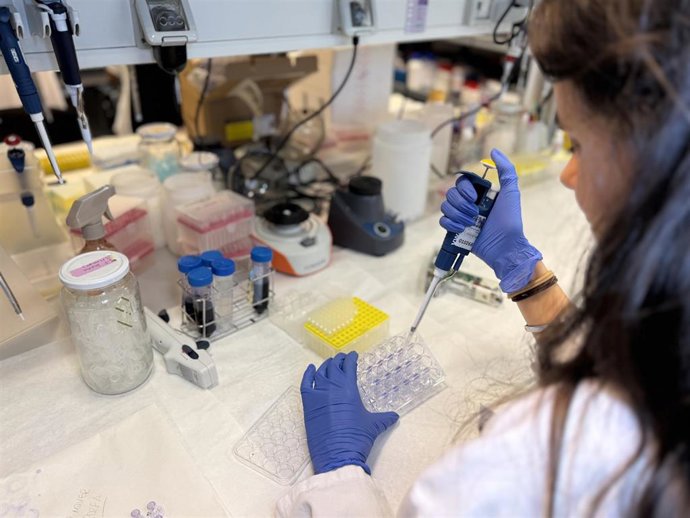 Investigadores del Hospital La Paz identifican una proteína que explica la elevada agresividad del melanoma