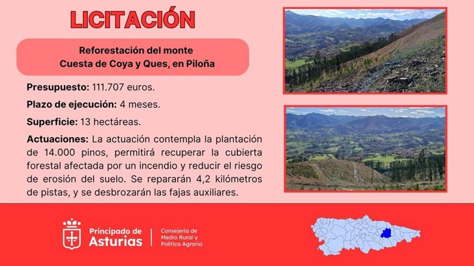 Licitación