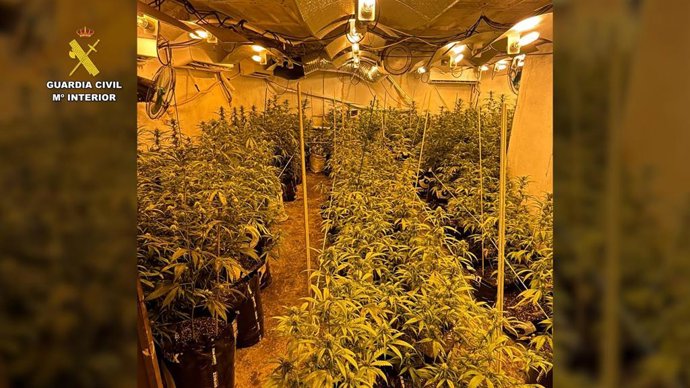 Plantación 'indoor' de marihuana desmantelada en Córdoba.