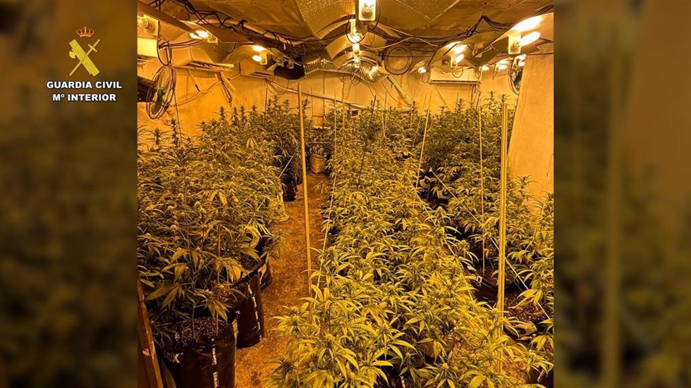 Plantación 'indoor' de marihuana desmantelada en Córdoba.