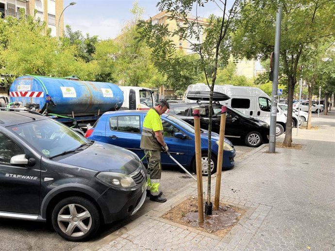Trabajador regando el arbolado del distrito Macarena