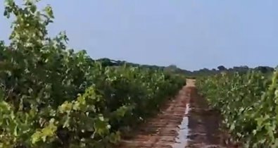 Castilla-La Mancha
