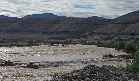 chile