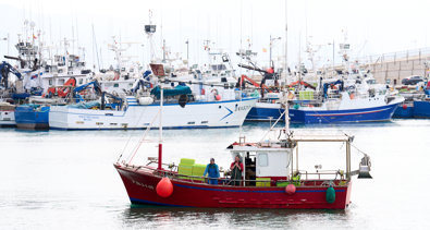 EpAgro - Pesca