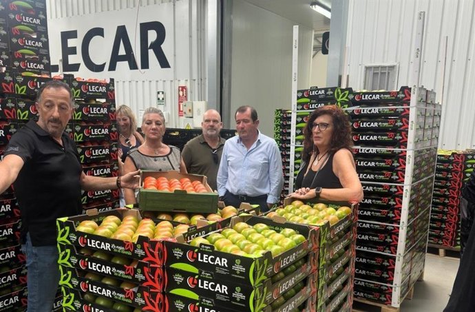 Archivo - La provincia de Granada moderniza su industria agraria con más de 80 millones de inversión en los últimos dos años. Así lo ha asegurado la delegada territorial de Agricultura, Pesca, Agua y Desarrollo Rural de la Junta en la provincia, Carmen Li