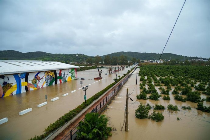 Archivo - Imágenes de las inundaciones en San Martín del Tesorillo debido a las borrascas de febrero de 2026. A 4 de febrero de 2026 en San Martín del Tesorillo, Cádiz (Andalucía, España). ARCHIVO.