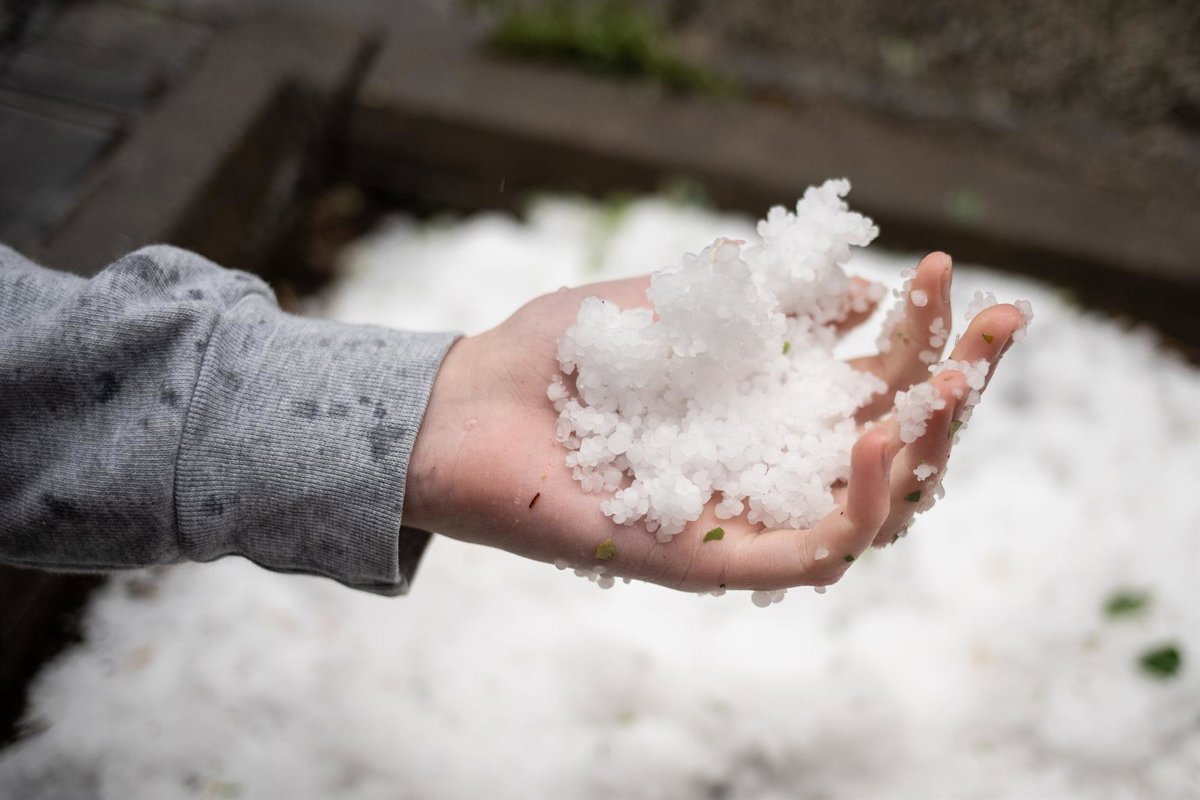 El Gobierno regional evalúa los daños de la granizada de este lunes en cultivos agrícolas