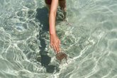 Foto: "No hay que echar agua dulce, amoniaco o alcohol sobre una picadura de medusa"