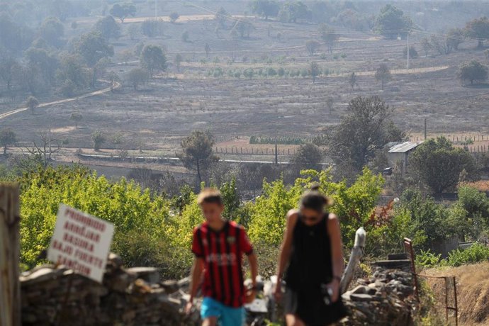 Incendio forestal en Veguellina (León) a finales de julio de 2026.