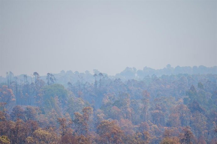Zona afectada por el incendio de Niebla (Huelva) que lleva cinco días activo.