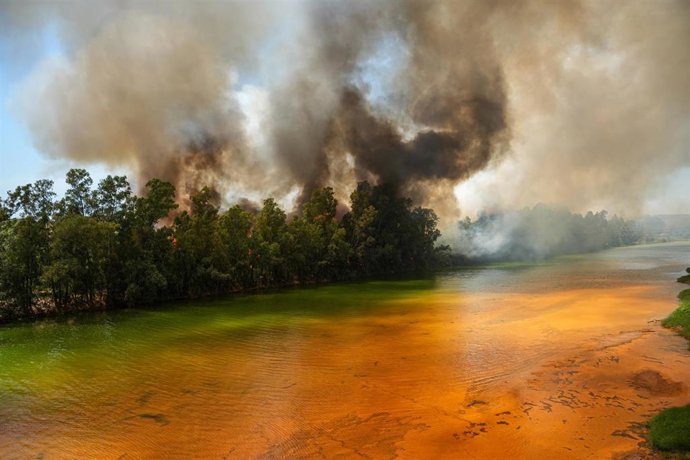 Archivo - Columna de humo provocada por el incendio que se inció en un paraje de Villanueva de los Castillejos en junio.