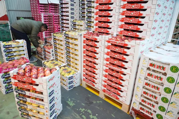 Archivo - Varias cajas de frutas sujetas a transpaletas en Mercabilbao, a