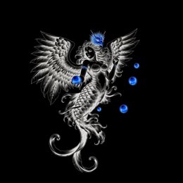 IMAGEN DE LA CARATULA OFICIAL DEL LIBRO LA SIRENA & EL GALLO