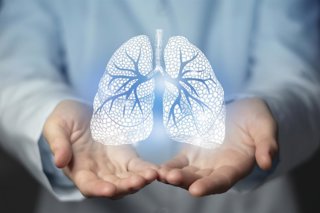 Archivo - Pulmones.