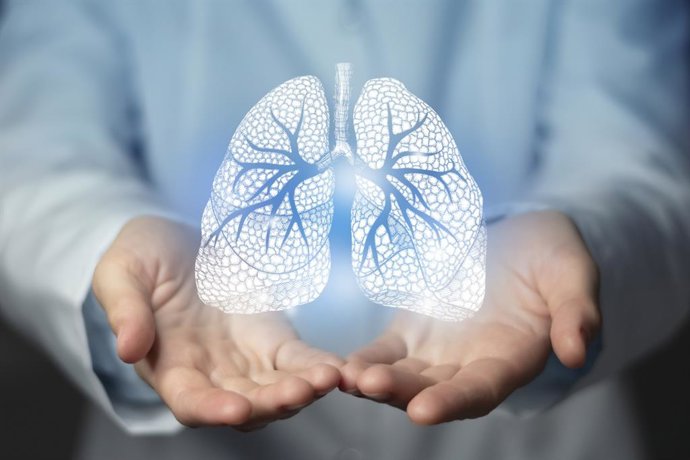 Archivo - Pulmones.