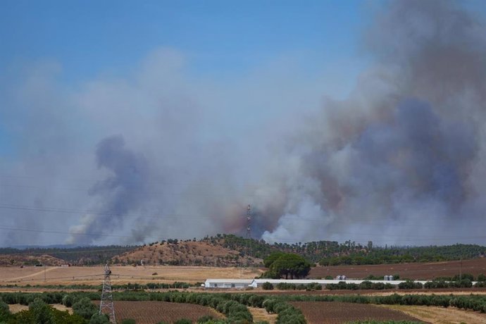 Imagen del incendio de Niebla.
