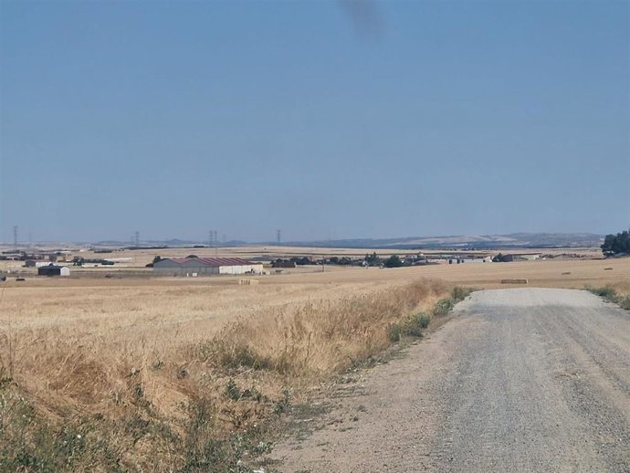 Terrenos previstos para la instalación de la planta de biometano, con el pueblo al fondo.