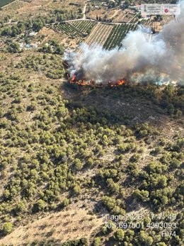 Declarado un incendio forestal en Lliria