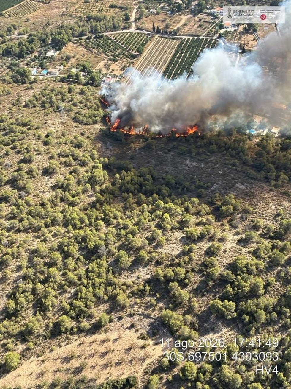 Declarado un incendio forestal en Lliria