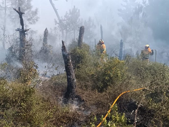 Bomberos forestales sofocan incendio en Los Pinares de Liencres