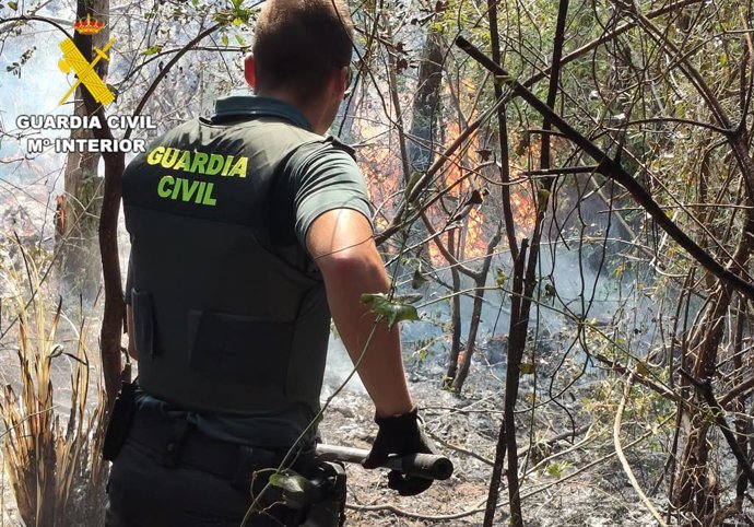 Incendio en las dunas de Liencres (Cantabria)