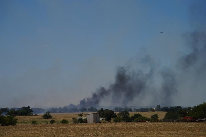 12 de agosto de 2026, Salado, Texas, EUA: Fumaça é vista subindo do local da queda de um helicóptero do Exército dos EUA em Salado, Texas, na quarta-feira, 12 de agosto de 2026.