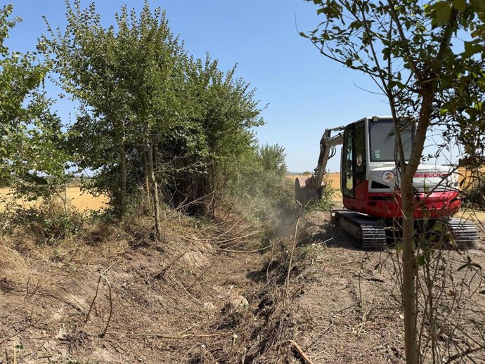 El Govern inicia los trabajos de limpieza y mantenimiento del torrente de Son Vent, en Sant Joan