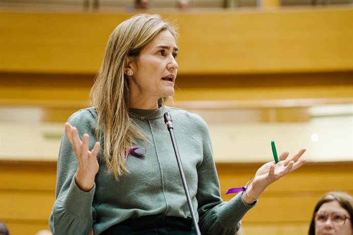 Archivo - La vicepresidenta tercera y ministra para la Transición Ecológica y Reto Demográfico, Sara Aagesen, interviene durante una sesión plenaria en el Senado, a 25 de noviembre de 2025, en Madrid (España)