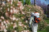 Foto: Andalucía eleva a 34 casos de virus del Nilo tras detectar tres nuevos en la provincia de Sevilla, uno de ellos grave