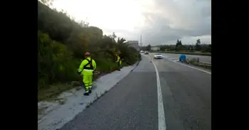 La Junta licita por 22 millones el contrato para el control de la vegetación en las carreteras andaluzas