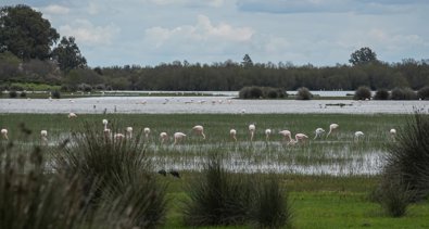 Huelva