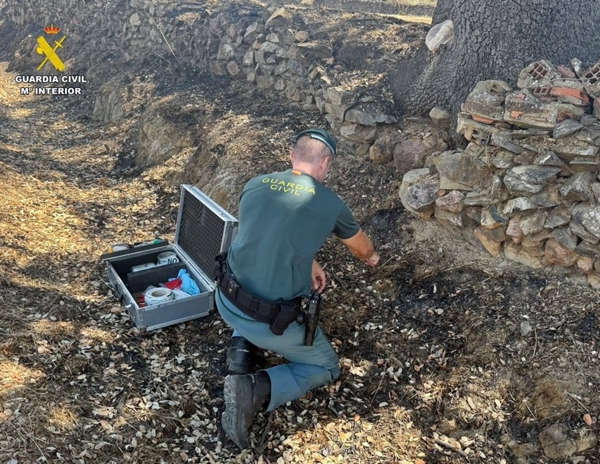 Investigado el presunto autor del incendio forestal intencionado en un paraje de Herrera del Duque