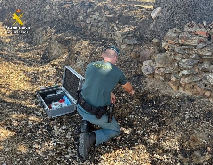 Un agente del Seprona investiga el origen de un incendio en Herrera del Duque.
